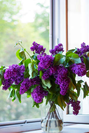 Bouquet of lilac in pot on windowの写真素材