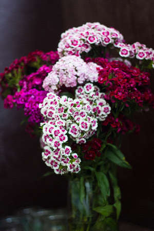 Vase with flowers carnations. Still life vase with red and pink carnations flowers. Bouquet carnations. Effect of grain texture. Selective focusの写真素材