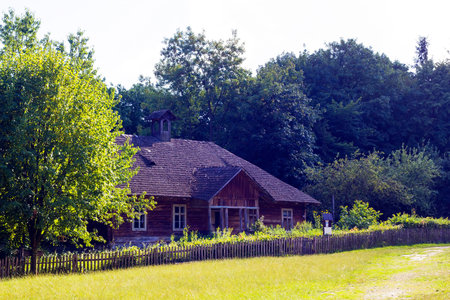 Old nice wooden house with thatched roof in village on summer warm day stands in shade under trees...