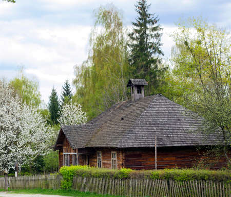 Old nice wooden house with wooden roof in village on spring warm day stands in shade near blossom trees in distanceのeditorial素材