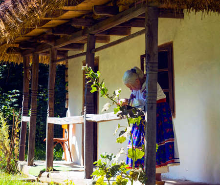 Old grandmother in flowered dress reading book and basking in sun on sunny terrace of old wooden house with thatched roof of fairy tale in warm summer dayのeditorial素材