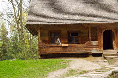 Path to home and old wooden house with wooden roof in summer village. On terrace of house sits an old grandmother with cat in distanceのeditorial素材