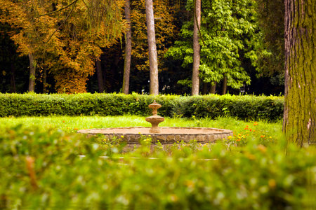 Old fountain in backyard surrounded by flowersの写真素材