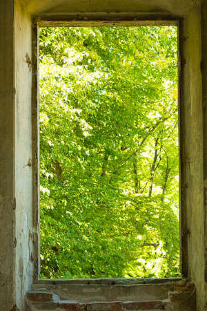 Old window in wall without frame with view of forestの写真素材