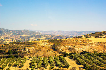 Vineyards in mountains of Cyprus against blue sky selective focus