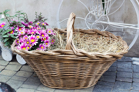 Wicker basket with dry hay and pink flowers, garden decoration