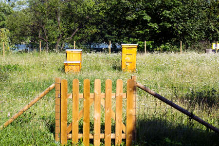 Apiary on green field behind wooden fenceの写真素材