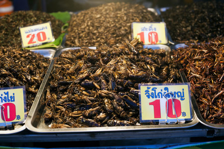 Thai food fried spicy locust insects at night street market in Phuket Town, Thailand. Natural...