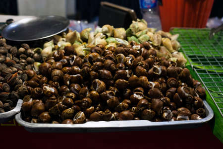 Street seafood seashells on night street market in Phuket, Thailandの写真素材