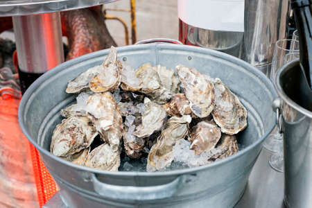 Oysters with crushed ice in metal bucket on tableの写真素材