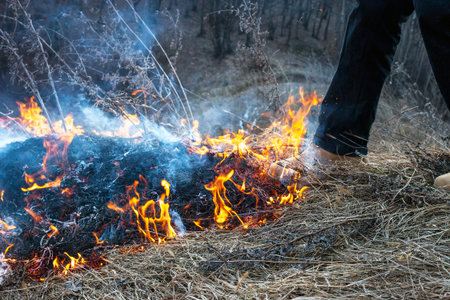 Mans foot puts out fire. Grassfire extinguishing concept. Boot trample down campfire near forest