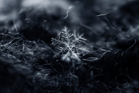 Snowflake on dark background. Frozen little snow crystal, selective focus