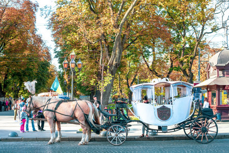 Lviv, Ukraine - 19 September 2020: Horse carriage and walking tourists in autumn town. Coat color...