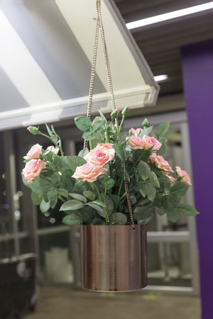 Artificial pink roses flowers in metal bucket hanging. Floral decor in shop, selective focusの写真素材