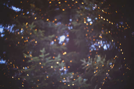 Blurry background little gold star on fir tree. Abstract defocus shiny night backdrop. Small golden light stars bokeh effect by dark sky. Orange starry glowing ornament on green pine treeの写真素材