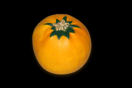 Pumpkin on black backgroundの写真素材