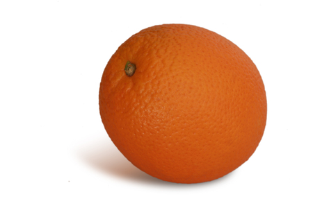 orange on white backgroundの写真素材
