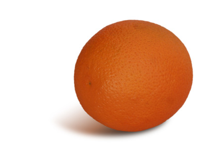orange on white backgroundの写真素材