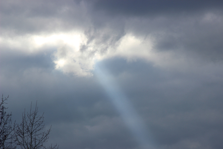 Sun bird - angelの写真素材