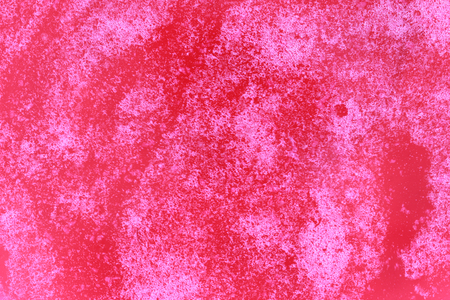 Beetroot apple juice
の写真素材