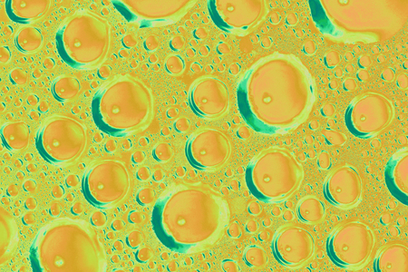 Drops on the glass
の写真素材