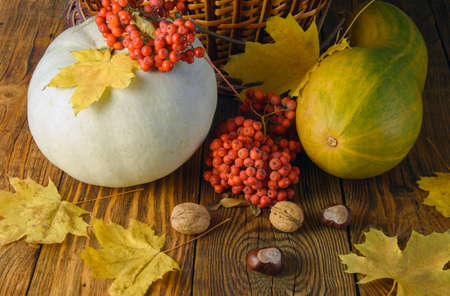 pumpkin, nuts, chestnuts, maple leaves, rowan berries on a wooden table, large planomの写真素材