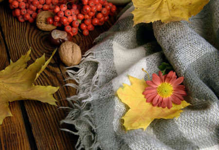 warm gray plaid, autumn flower, walnut, chestnuts, maple leaves, rowan berries on a wooden table, close-upの写真素材