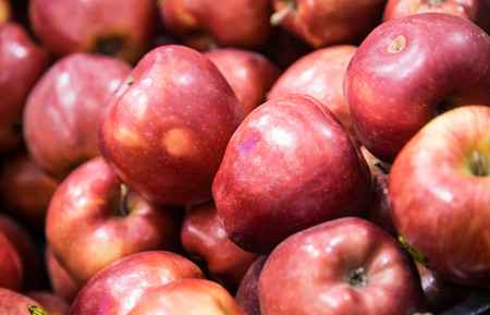 Couple of fresh apple at the store. Several red fresh apples.の写真素材