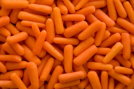 Uncooked  Carrot Pattern Background Materialの写真素材