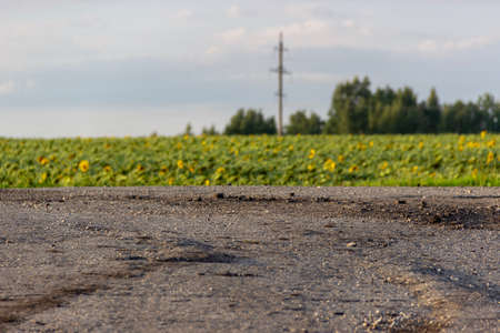 the destroyed part and the crumbling piece of asphalt with electric pole on a field with sunflowers out of focus of the cameraの写真素材