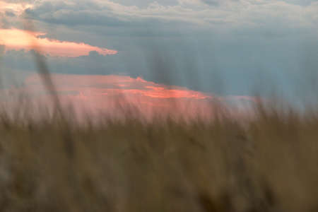 travel, landscape and nature of Russia. Yellow golden orange dramatic dawn at dawn or dusk over endless fields, hills, meadows. The sun rises in the morning above the horizonの写真素材
