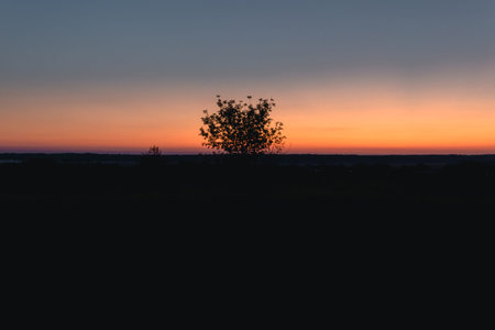 travel, landscape and nature of Russia. Yellow golden orange dramatic meadows. The sun rises in the...