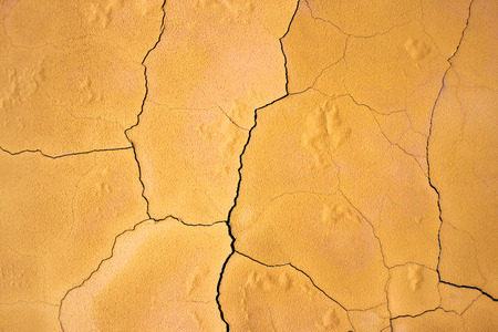 Orange cement texture, urban concrete wall background for designの写真素材