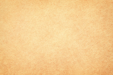 old paper background. ancient manuscript texture with blank space for quote