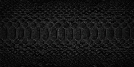 black snake skin texture, reptile leather as background