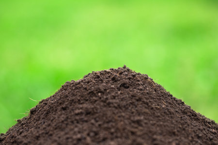 ground heap on a green background. black soil with blurred green grassの写真素材