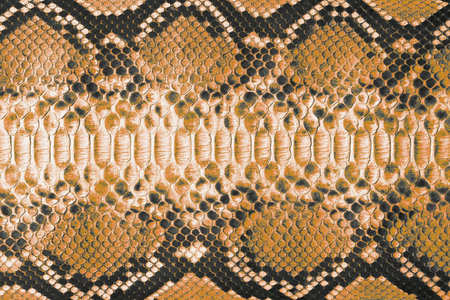 Genuine reptile skin as background, brown snakeskin texture