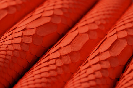 scaly texture of leather background, red luxury python skin