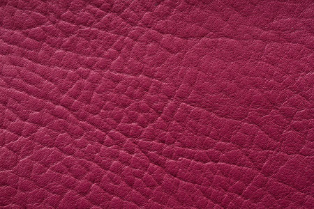 crimson leather background, texture of bright cowhideの写真素材