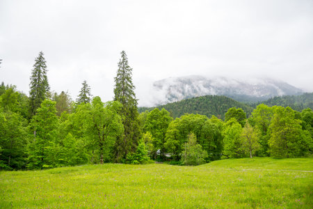 Majestic fog and clouds in the Alps. Bavaria, Germany.の写真素材