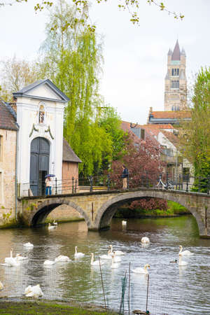 Bruges, Belgium - April 17, 2017: Swans in lake of love in Bruges, channel panoramic view near Begijnhofのeditorial素材