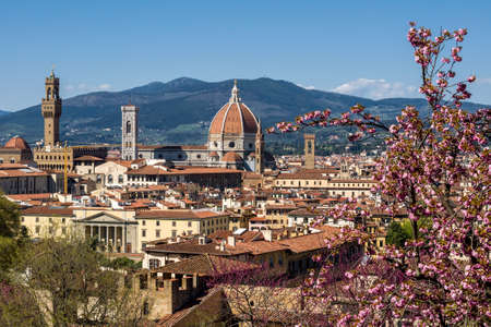 Cathedral of Saint Mary of the Flower (Cattedrale di Santa Maria del Fiore) and Judas Tree (European redbud) in the foreground. Florence, Tuscany, Italy.の写真素材