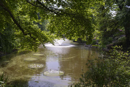 Wroclaw botanical gardenの写真素材