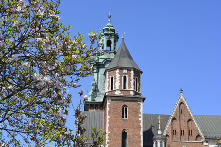 Spring in Krakowの写真素材