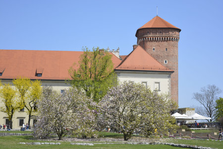 Tower of Wawel castleのeditorial素材