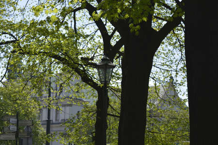 Krakow city at spring timeの写真素材