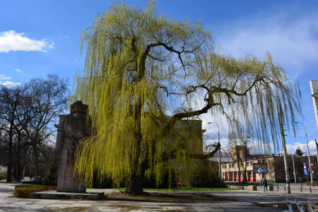 Theater street in Wroclawの写真素材