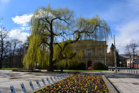 Wroclaw downtown at Marchの写真素材