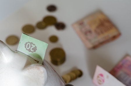 Filling a piggy bank with money. The accumulation and collection of money. Close-up. Selective...