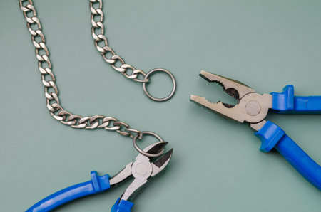 Repair of a metal collar for dogs. Close-up. Selective focus.